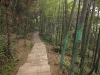 Walk back from Fuhu temple