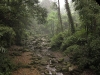 Walk back from Fuhu temple
