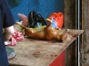Dog meat market