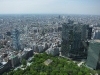 Tokyo city view from the Tokyo Metropolitan Government Building