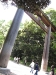 One of the gates in Yoyogi Park