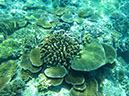 IMG_1259