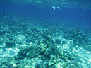 IMG_1250