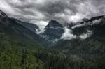 IMG_8918_6_7