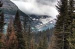 IMG_9083_1_2