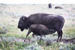 IMG_8690