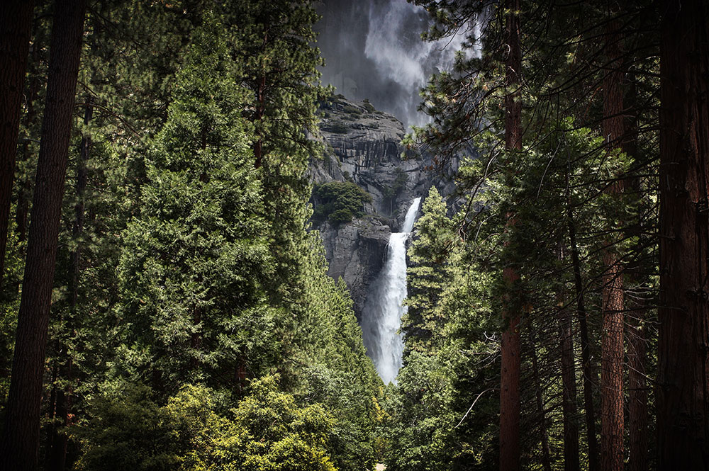 View at Lower Yosemite Falls